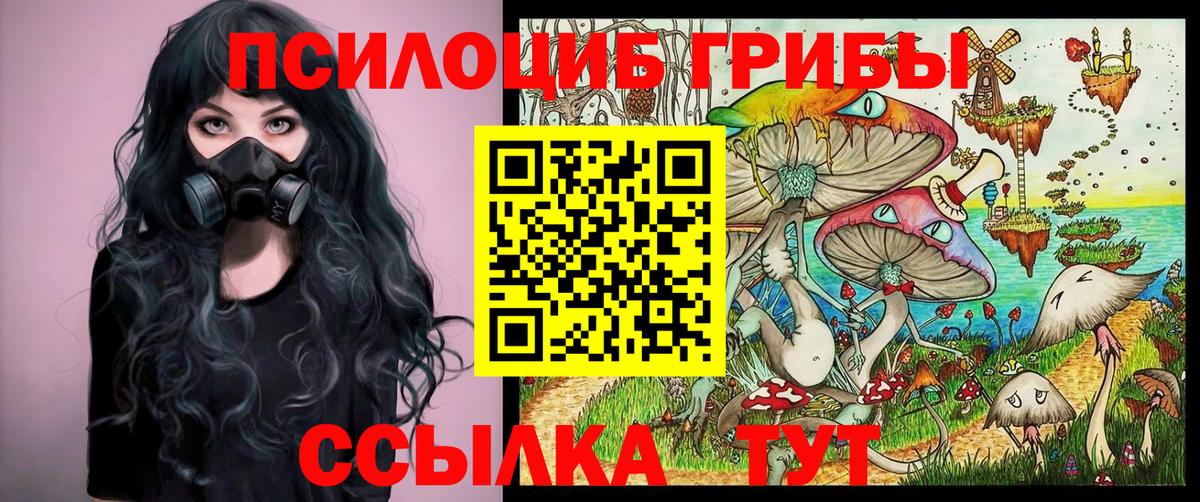 Галлюциногенные грибы мицелий Балахна