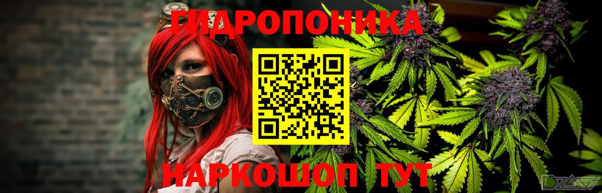 Канабис ГИДРОПОН Балахна